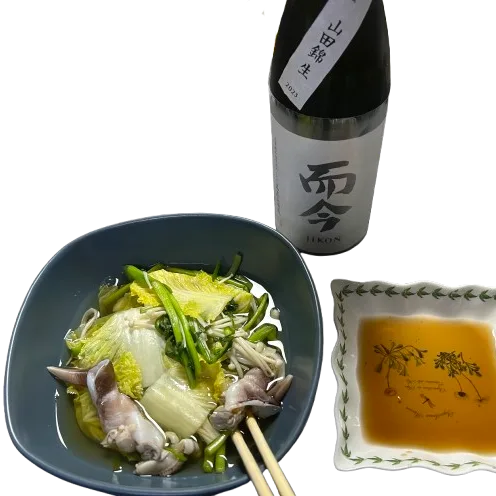지콘