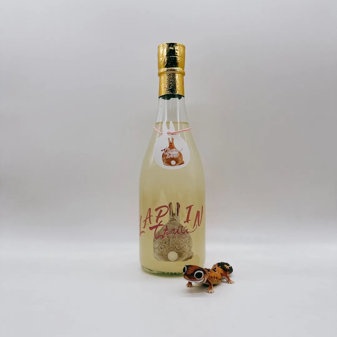 치에비진 준마이 Lapin 나마