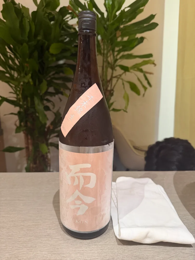 지콘